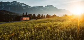 Austria, Tyrol, truck on country road in the morning light