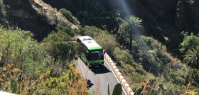 canarias_apruebaOK