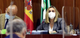 Andalucia licitaraOK
