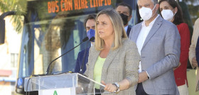 Autobuses consorciosOK