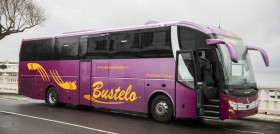 Bustelo castrosuaOK
