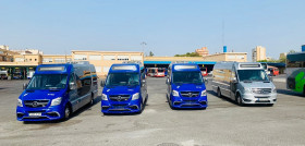 Vectalia autocubyOK