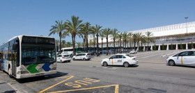 Emt palma ganaOK 6