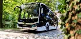 Man busworldOK 1