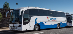 Alsa gumidafeOK