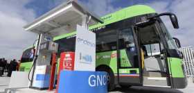 Parque espanol autobusesOK