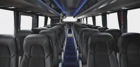 Confebus sereuneOK