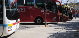 Anetra proponeOK 1