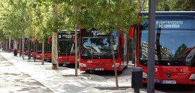 Transportes rober sumaOK