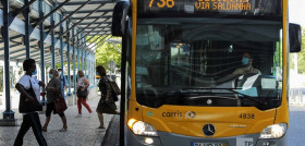 Alsa transviaOK