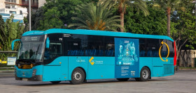 Canarias ampliaOK