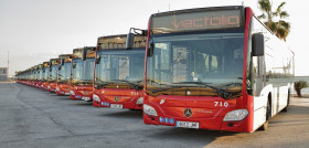 Vectalia elegidaOK