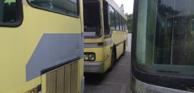 tralusa_sustituiraOK