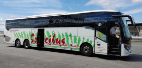 Socibus conectaOK