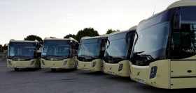 Autobuses consorcio sevillaOK