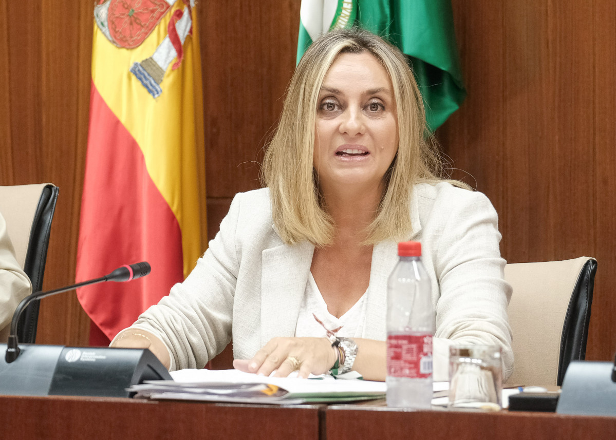 Andalucia se centra en las infraestructuras de transporte