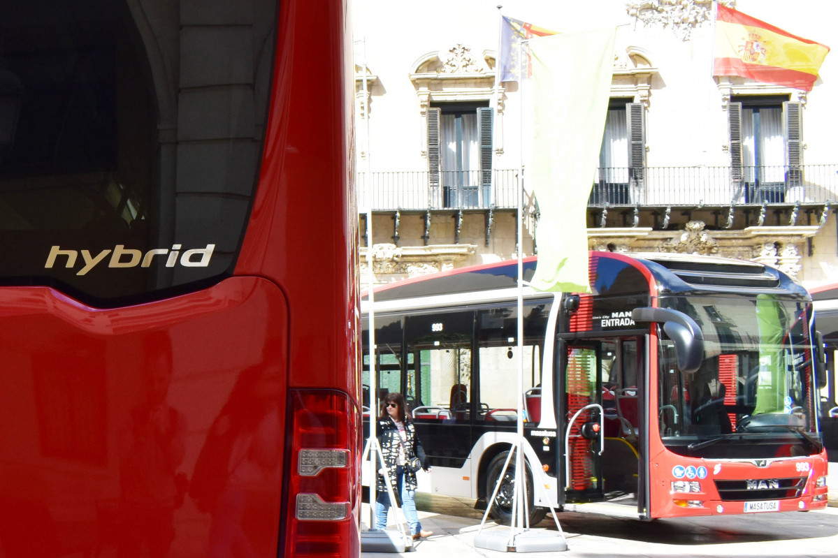 Vectalia se perfila como adjudicatario del nuevo autobus urbano de alicante