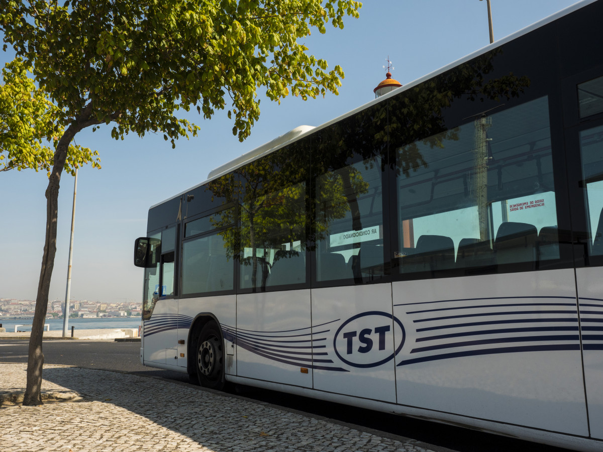 Transportes sul do tejo confia en michelin para gestionar los neumaticos