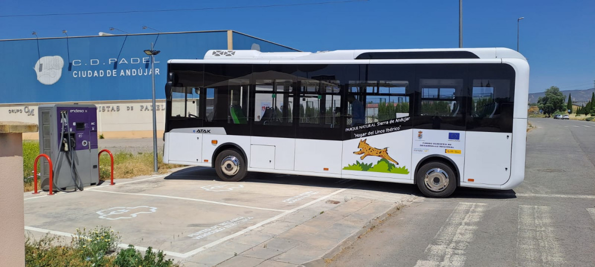 Andujar aprueba la puesta en marcha de una linea de autobus electrico