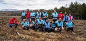 Alsa planta 100 arboles para celebrar sus 100 primeros anos de historia