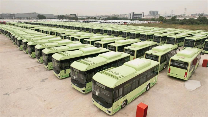 King long entrega 262 midibuses electricos a un flotista chino