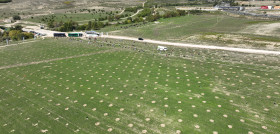 El bosque scania crecera con mas de 4500 arboles en 2024