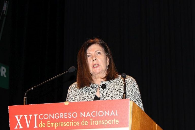 Carmen Librero, secretaria general de Transporte, reveló su intención de defender ante los tribunales europeos el requisito español de flota mínima.