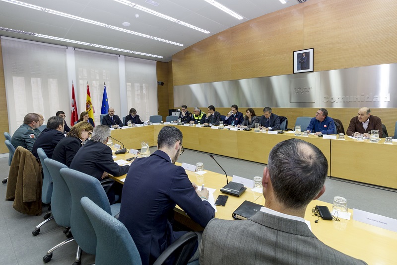 Pedro Rollán, durante la presentación del Plan.